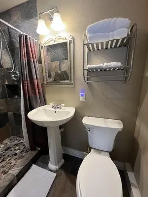 a bathroom with a toilet and a sink at Mt Olympus Cabin, Cozy 1 bedroom cabin Great for couples in Estes Park