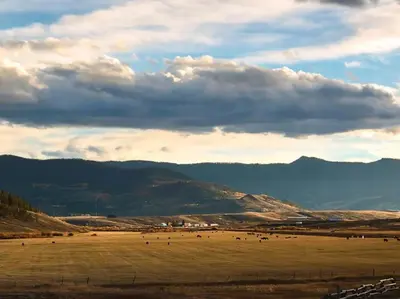 a large field with animals in a field with mountains at K-Suite-Mt View-Resort-Pool-Hot Tub-Near RMNP & WP in Granby