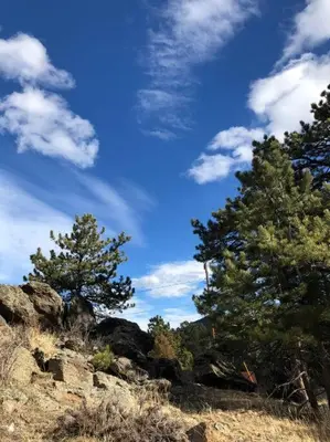 two trees on a rocky hill with a blue sky at Hot Tub! Pets Ok! Perfect Estes Park Getaway, Walk to Town 3 Kings!#3337 in Estes Park