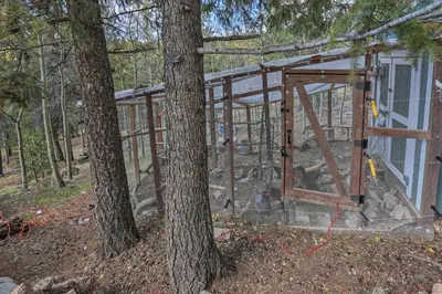 Gallery image of Near Hiking Mtn-View Conifer Cabin with 2 Decks in Conifer