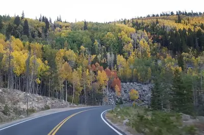 an empty road in the middle of a forest at Sundance-2 miles to Rocky Mountain National Park in Estes Park