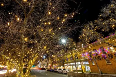 a city street with christmas lights on trees at Pine Street Loft Steps from Old Town Square in Fort Collins