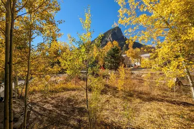 a forest with a mountain in the background at 7 Mi to Skiing! Mtn-View Hot Tub Haven in Frisco in Frisco