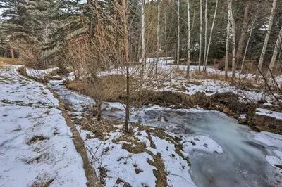 a stream in a snow covered field with trees at Forest-View Creekside Cabins with 4 Acres! in Evergreen