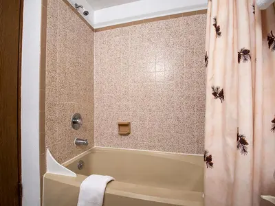 a bathroom with a shower with spiders on the shower curtain at Meadow Ridge Court 28 Unit 6 in Fraser
