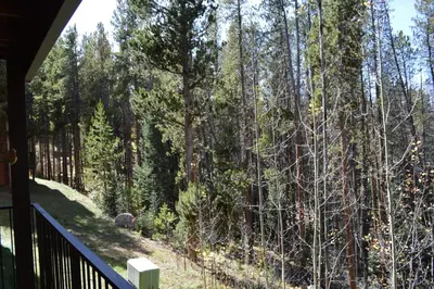 a view of a forest from the porch of a house at Beaver Village Unit #0612 in Winter Park