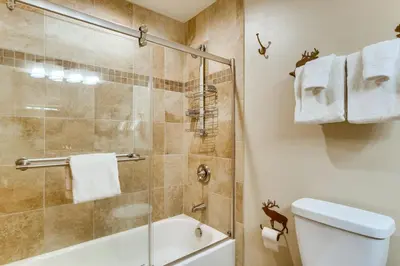 a bathroom with a shower and a toilet at Private Deck and Hot Tub Silverthorne Home! in Silverthorne