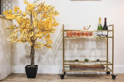 a yellow plant in a black pot next to a shelf at NEW! Gorgeous Colorado Getaway * Glamping Vibes * in Denver