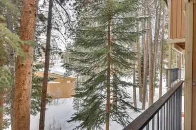 a pine tree in the snow on a porch at Winter Park Condo Rental about 2 Mi to Ski Resort! in Winter Park