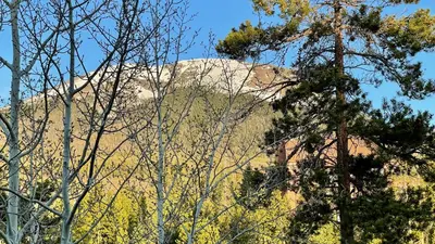 a mountain in the distance with trees in the foreground at Mountain view, kids room, great location! in Silverthorne